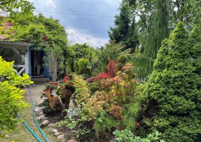 dom na wynajem - Dobre, Wólka Kokosia