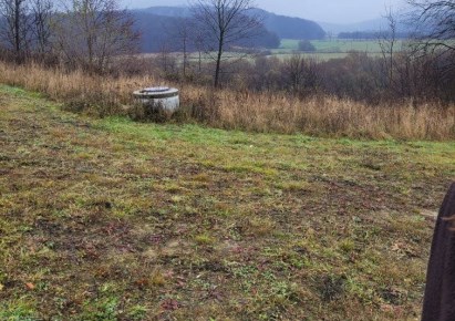 działka na sprzedaż - Lesko (gw), Bachlawa